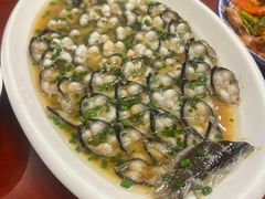 -呼吸森林·生态农庄农家乐私房菜