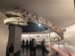 -自贡恐龙博物馆