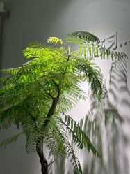 -闺蜜瑜伽·普拉提女性塑形馆