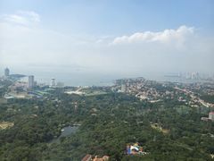 -青岛电视塔
