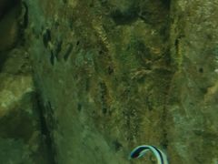 -苏州海洋馆