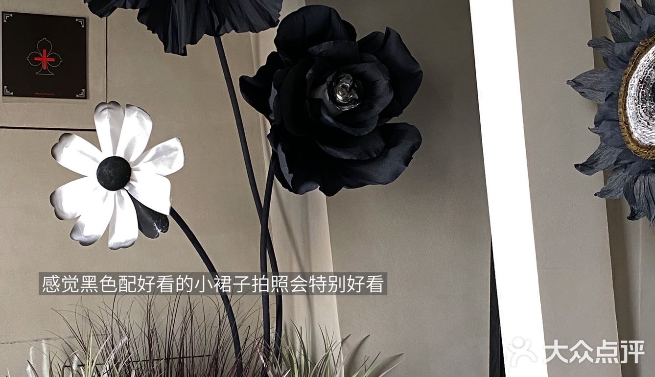 周末去哪玩｜库迪.熙南里.“赏花”