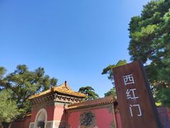 -北陵公园