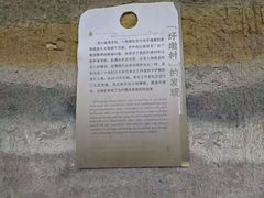 -圩墩遗址公园