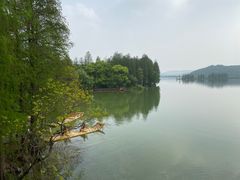 -东湖落雁景区
