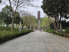 -红花山公园