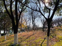 -白塘生态植物园