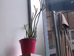 -今日艺术汇书店