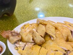 紫金三黄鸡白切半只-昌茂客家情