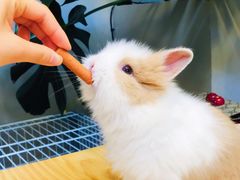 -小意思咖啡店(草桥店)