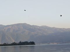 -西昌邛海湿地