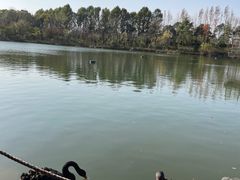 -上海怡沁园度假酒店