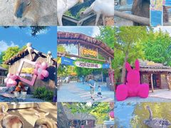 -北京世界公园