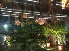 大堂-豐柏轩食府