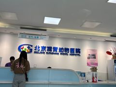 -北京观赏动物医院·24小时大型综合·猫专科·异宠专科