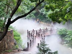 -北京西山国家森林公园