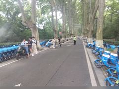 -灵谷景区