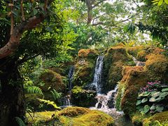 -Chom Cafe and Restaurant