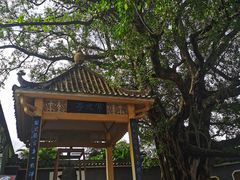 -肇庆古城墙