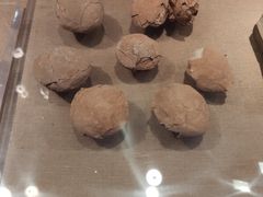 -烟台市博物馆