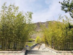 -龙门崮风景区