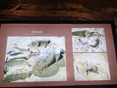 -秦始皇帝陵博物院(兵马俑)