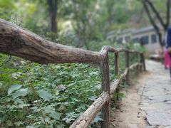 -井塘古村