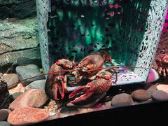 -沈阳海洋探索中心