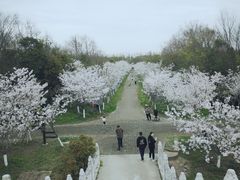 -上海海湾国家森林公园