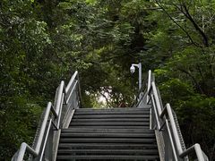-佛山华盖山公园