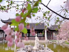 -莫愁湖公园