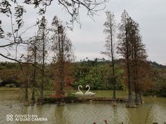 -森波拉奇妙世界