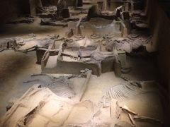 -洛阳周王城天子驾六博物馆