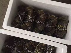 -渔娘蟹庄(阳澄湖莲花岛店)