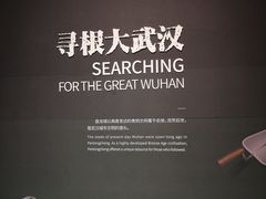 -盘龙城国家考古遗址公园