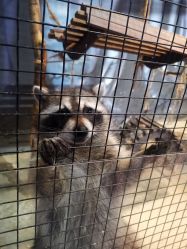 -酷嗒动物文化乐园(cutezoo西溪乐天城店)