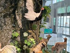 -郑州自然博物馆(惠济区)