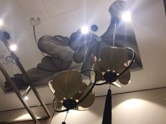 -Lotus 莲花空间(国贸商城店)