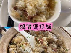 -百利鸽王(紫薇路店)