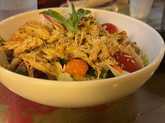 -萨尔瓦多Salvador's