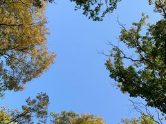 -北京上方山国家森林公园
