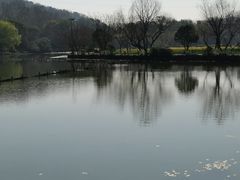 -八卦田遗址公园