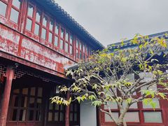 -拙政园