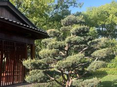 -上海虹桥迎宾馆