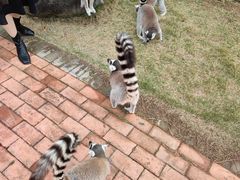 -泉州海丝野生动物世界