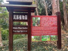 -中国科学院西双版纳热带植物园