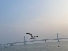 -星海广场