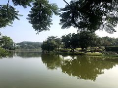 -东莞植物园