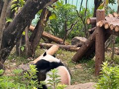 -南宁市动物园