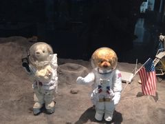 iphone_upload_pic-济州岛泰迪熊博物馆